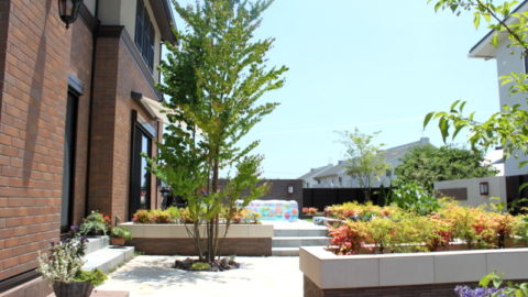 家での楽しみ方