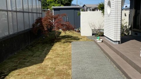 天然芝について