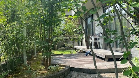 10年後のお庭について考える。